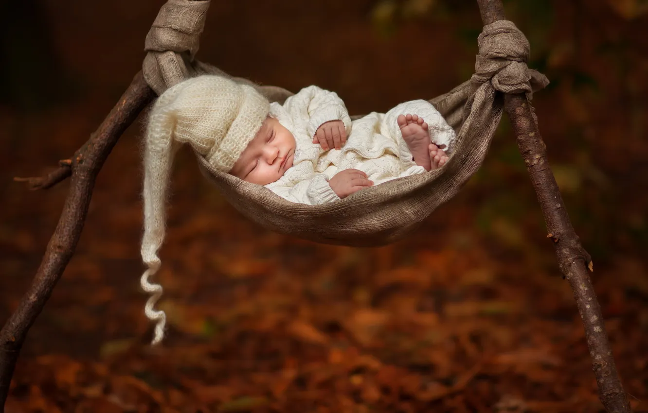 Фото обои сон, гамак, младенец