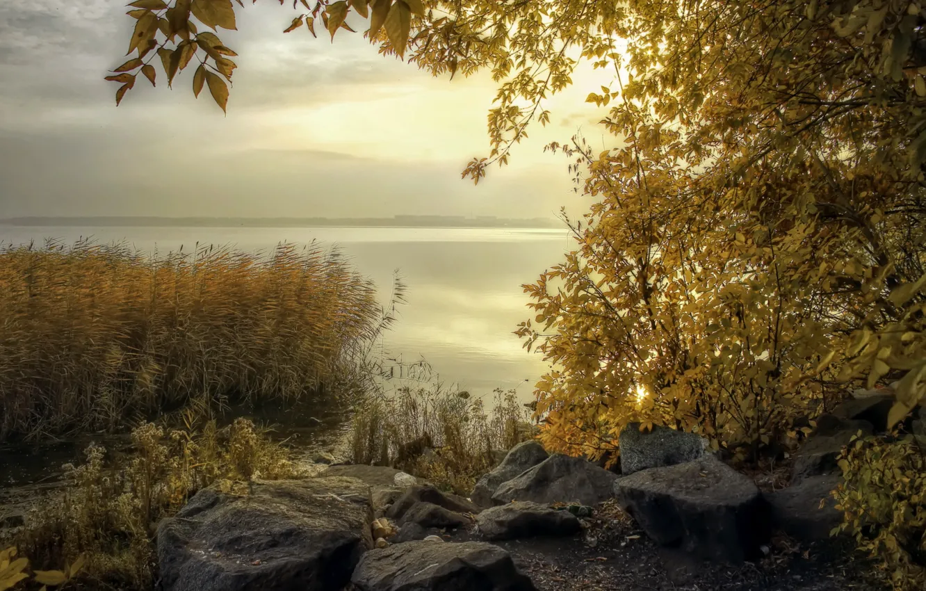 Фото обои осень, пейзаж, природа, озеро