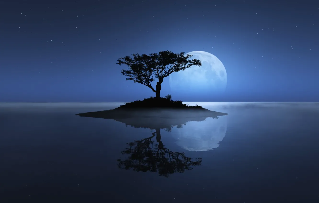 Фото обои море, небо, дерево, луна, остров
