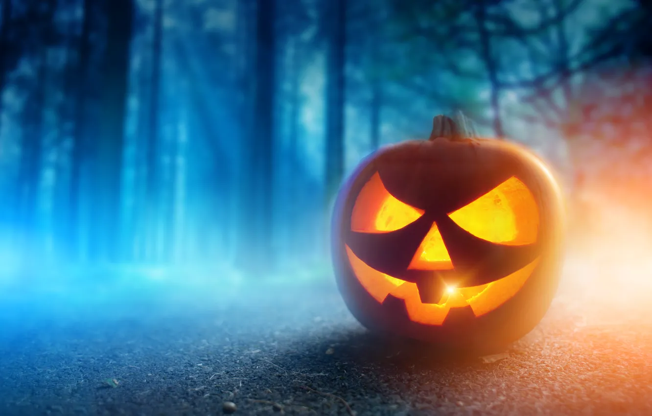 Фото обои осень, лес, ночь, Halloween, тыква, Хэллоуин, smile, face
