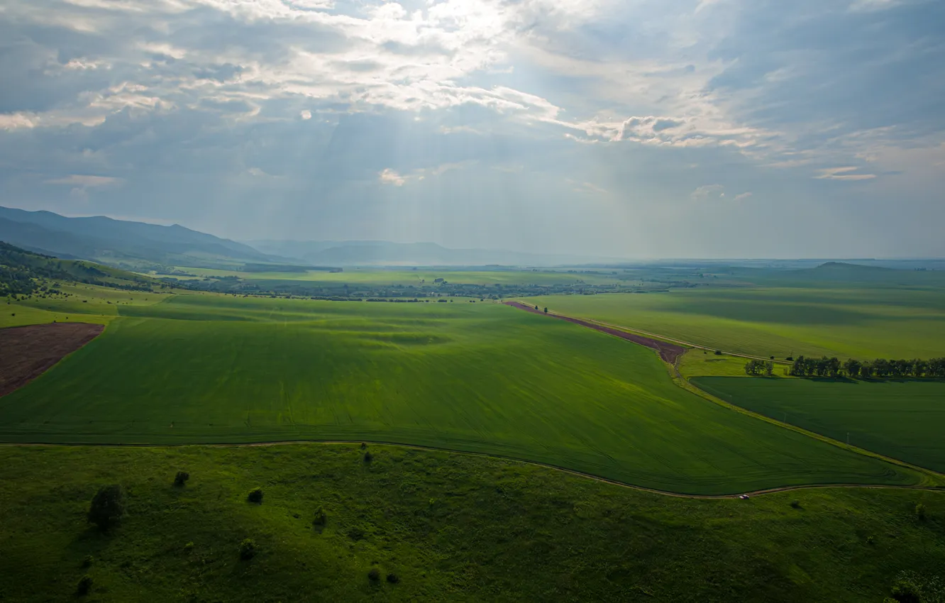 Фото обои поля, красота, долина, горизонт, простор, лучи солнца, летний день, Татаркин Вячеслав