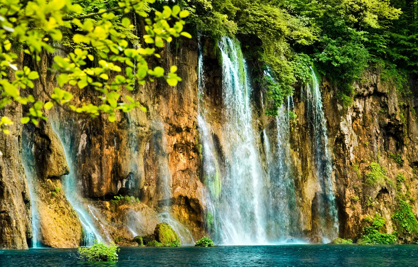 Фото обои ветки, скала, озеро, водопад, кусты