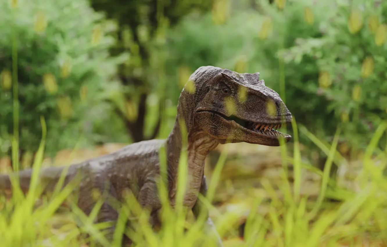 Фото обои raptor, nature, dinosaur, 4K