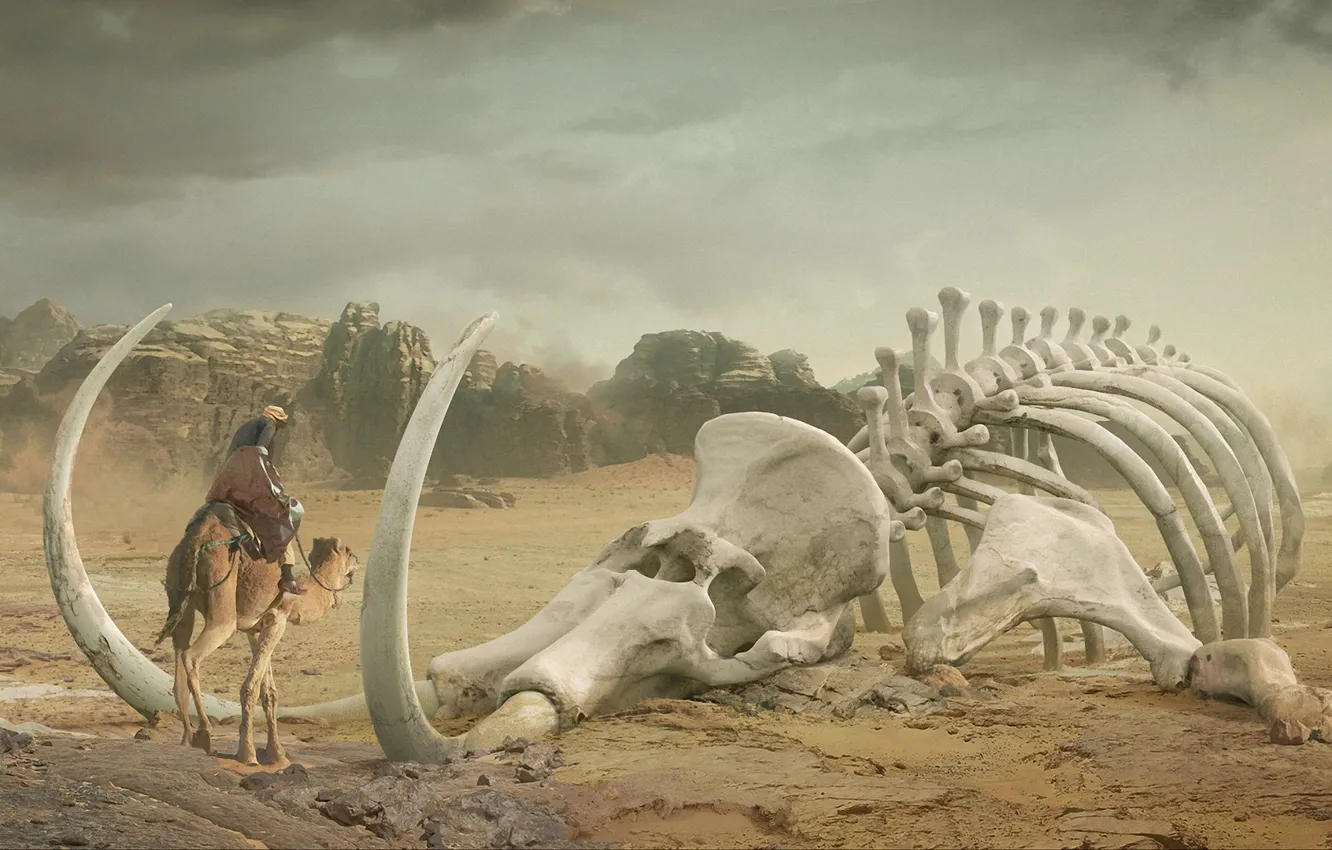 Фото обои пустыня, арт, верблюд, скелет, мамонт, бивни, гигантский, бедуин