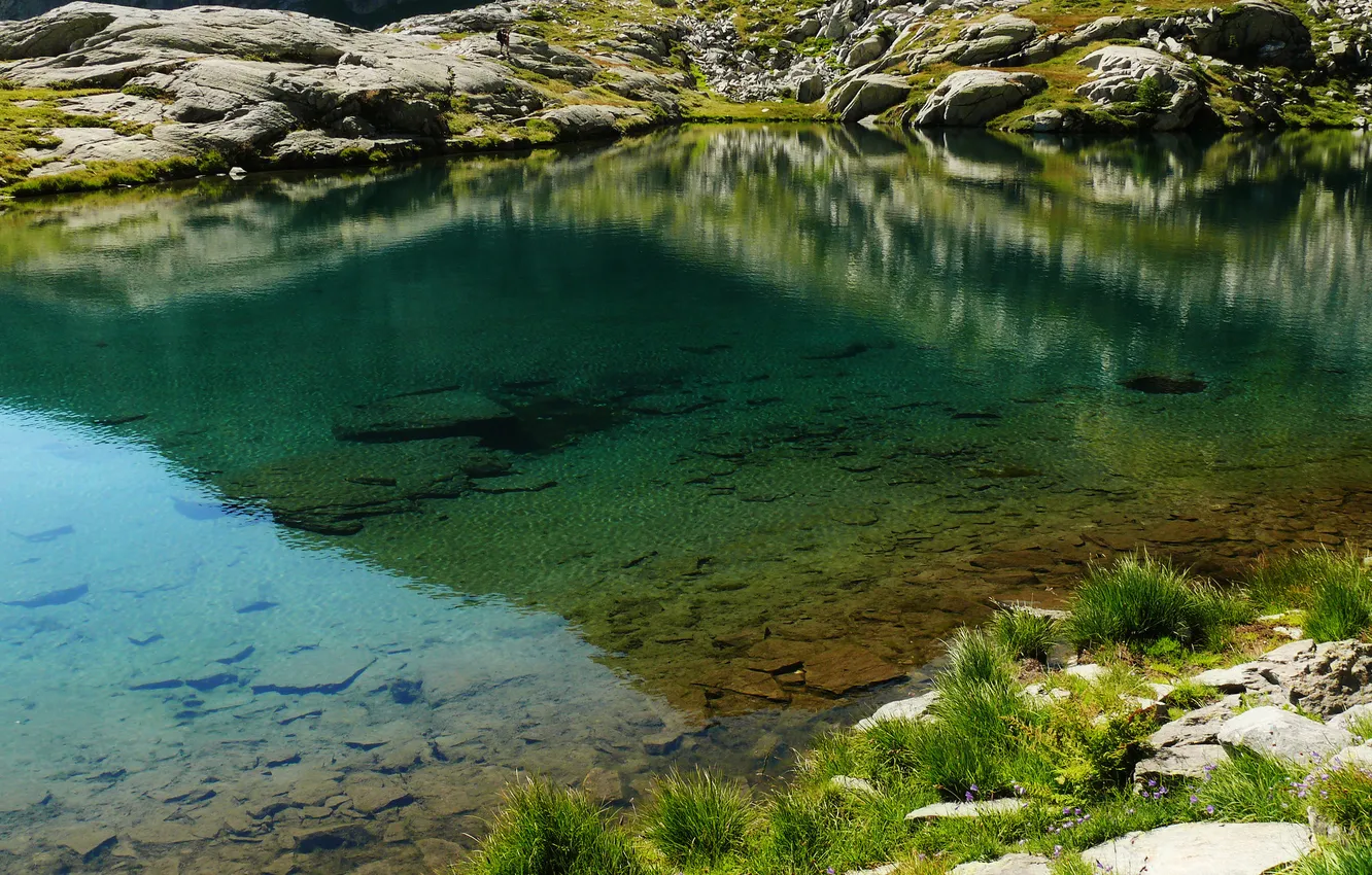 Фото обои трава, вода, озеро, камни