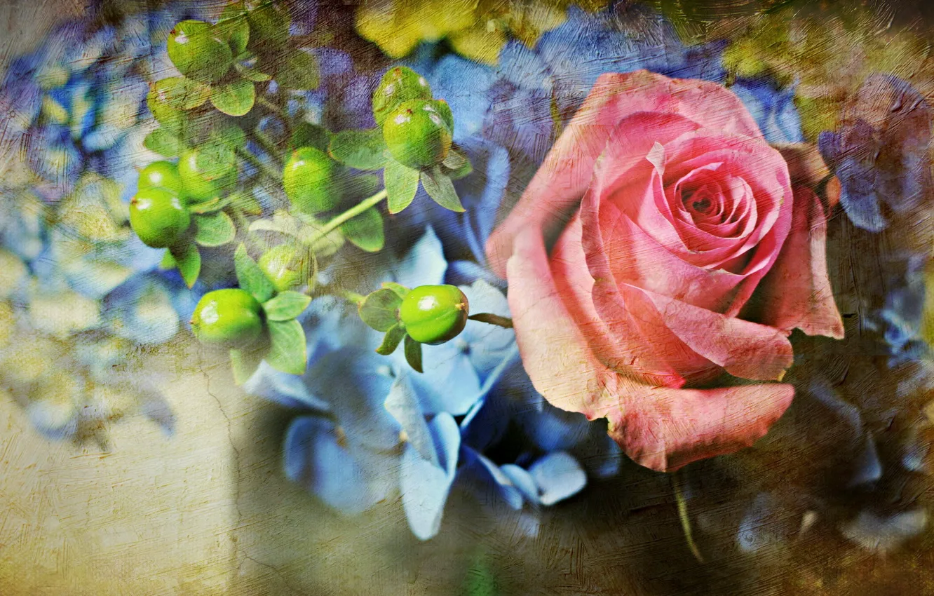 Фото обои цветы, стиль, роза