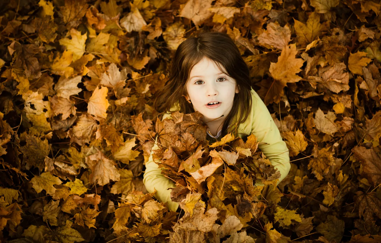 Фото обои осень, листья, дети, улыбка, жёлтый, настроение, настроения, листва