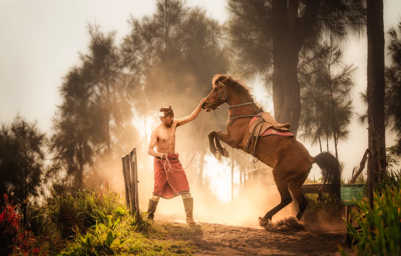 Фото обои man, horse, training