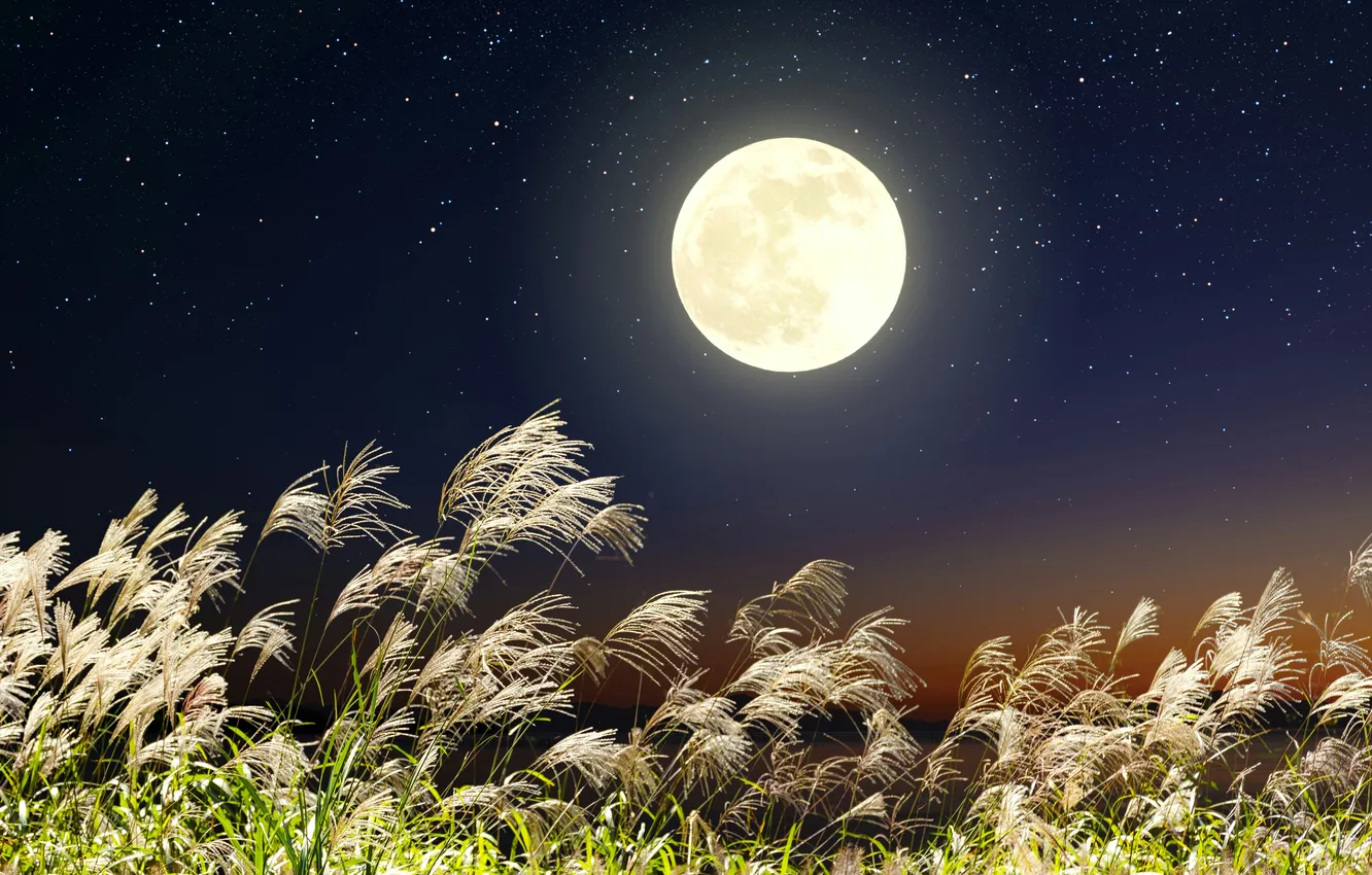 Фото обои light, moon, sky, landscape, japan, nature, night, background