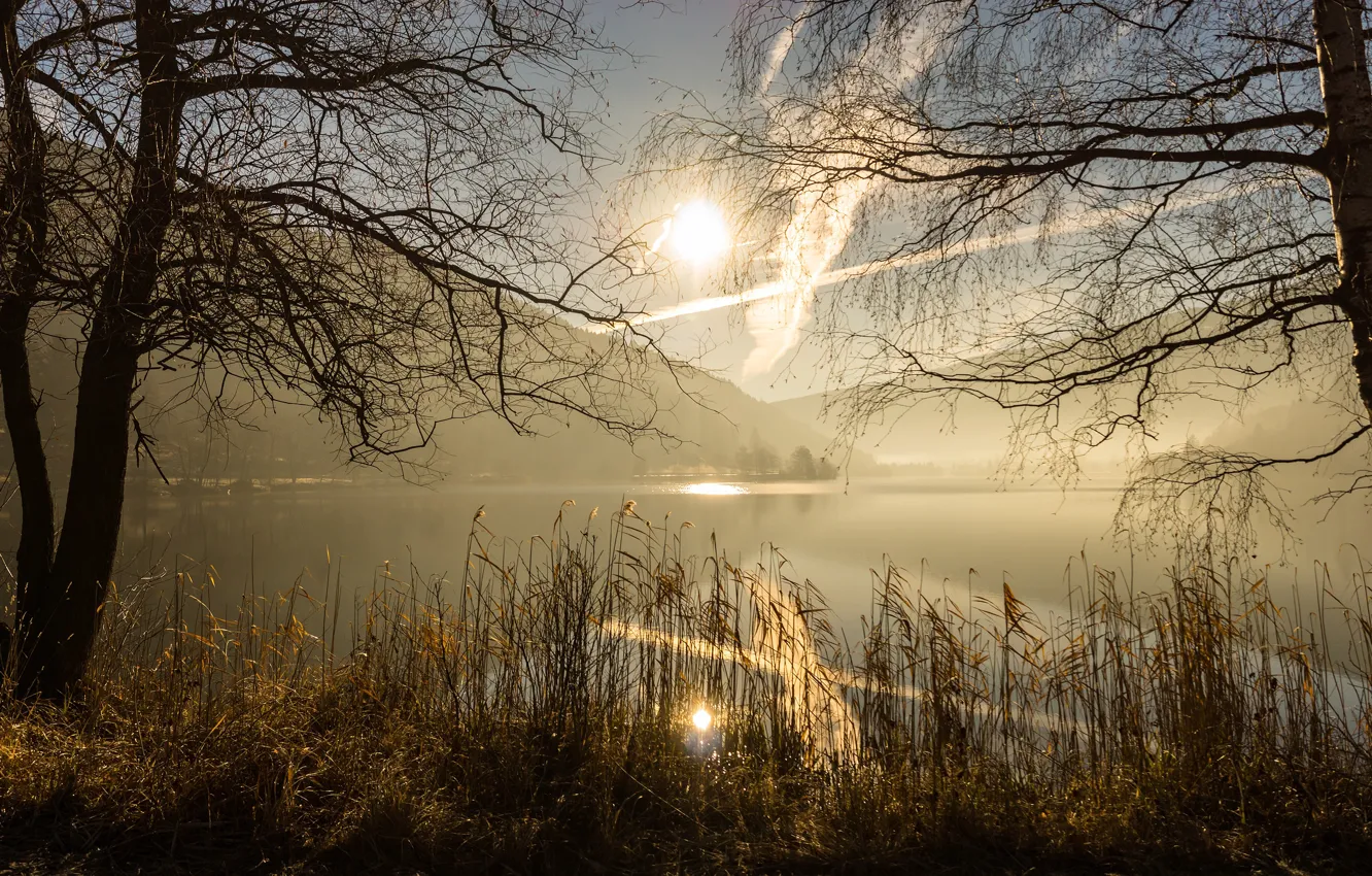 Фото обои осень, небо, трава, солнце, облака, свет, деревья, горы