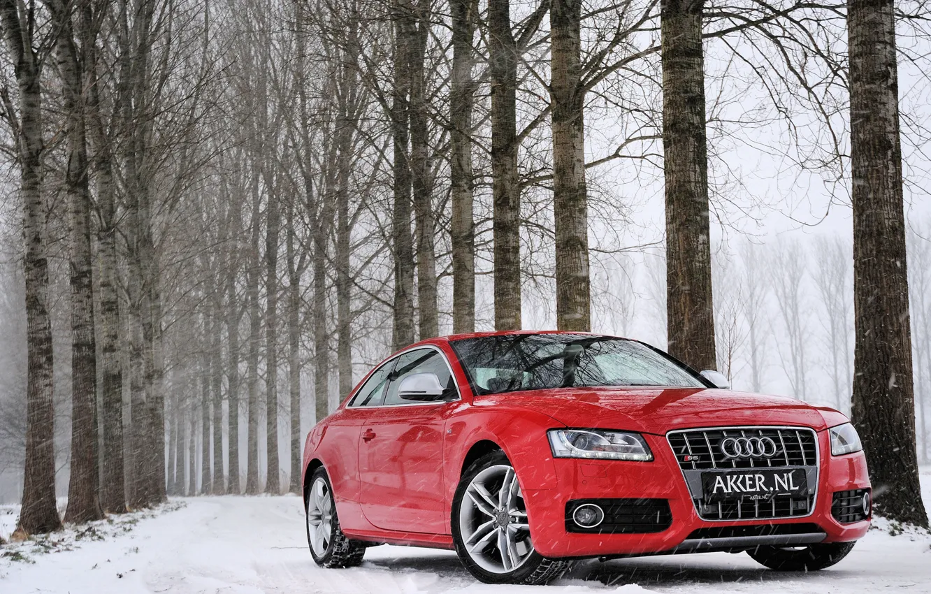 Фото обои зима, лес, снег, деревья, красный, Audi, Ауди, red