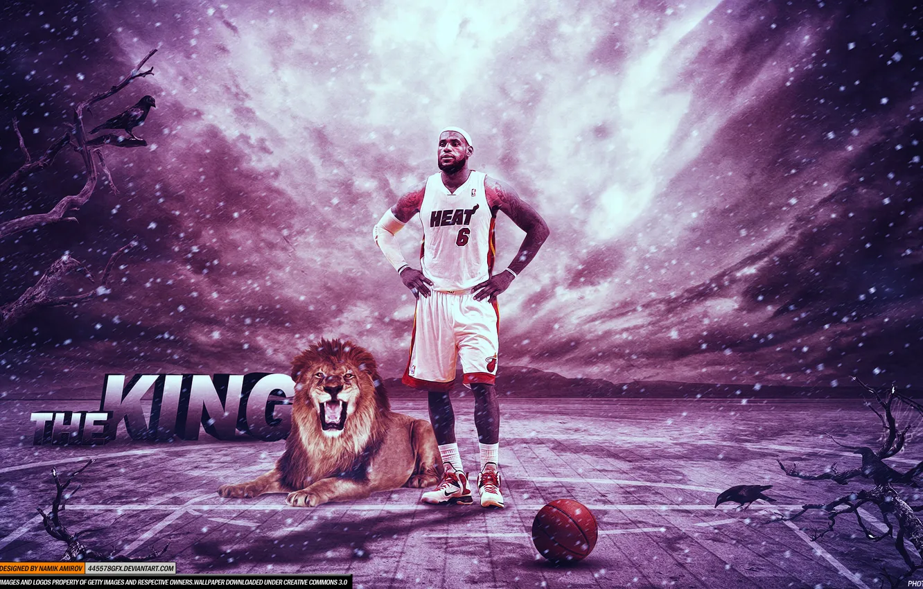 Фото обои лев, паркет, баскетбол, basketball, lion, nba, король, Lebron James