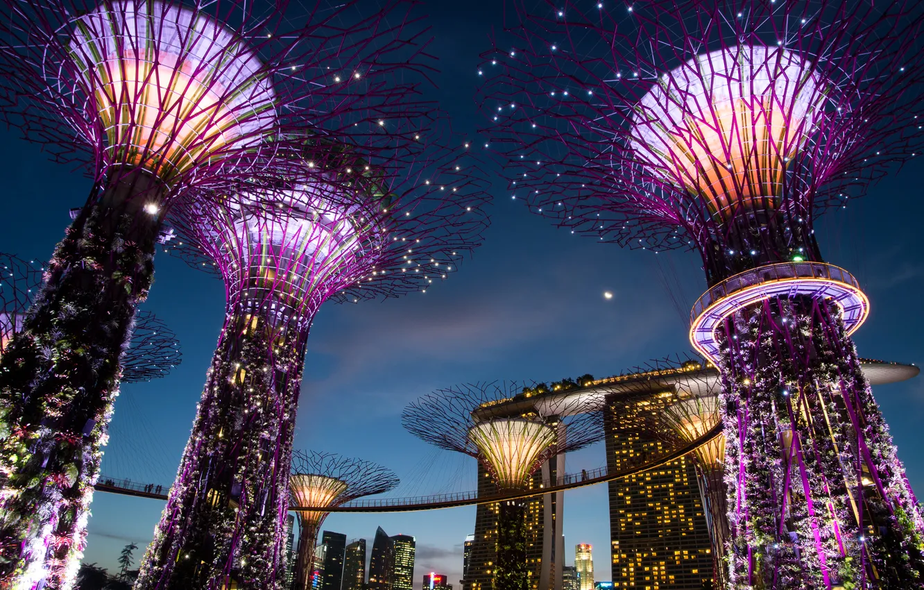 Фото обои ночь, дизайн, огни, Сингапур, строения, сады, Gardens by the Bay