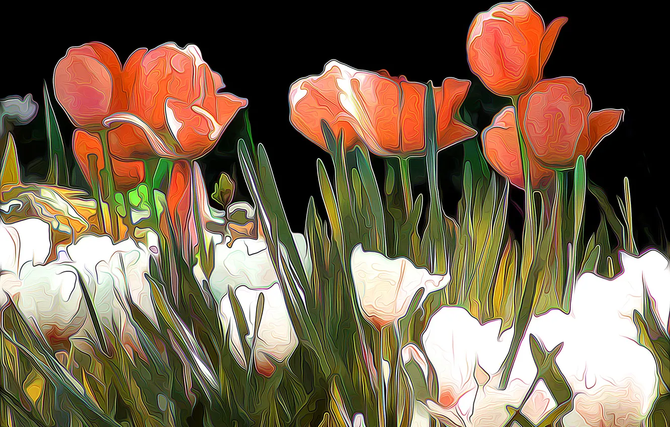 Фото обои линии, абстракция, рендеринг, краски, тюльпаны