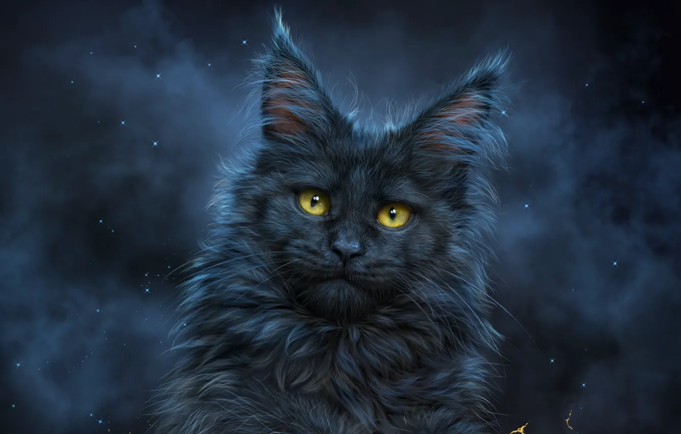 Фото обои глаза, кот, черный, красавец