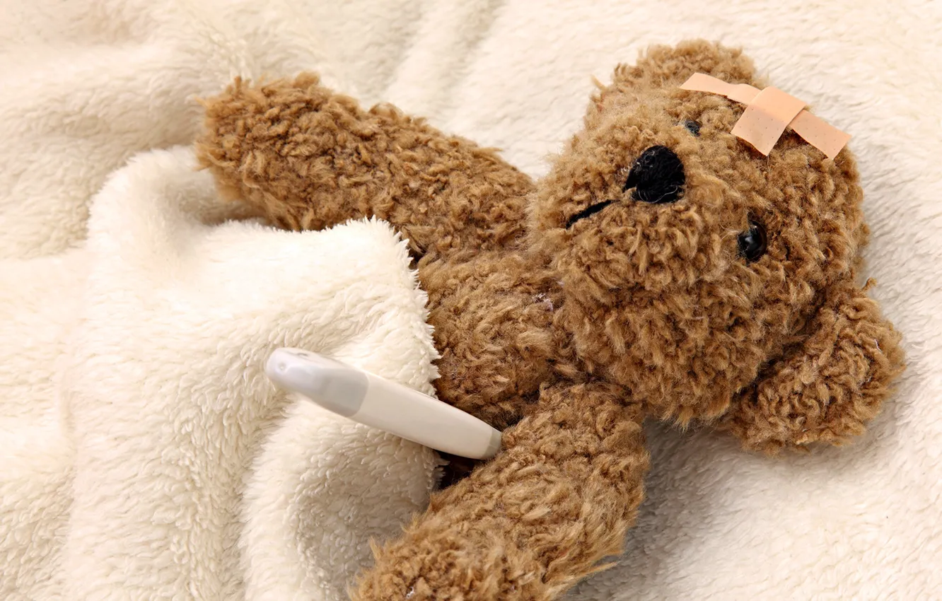 Фото обои игрушка, мишка, одеяло, градусник, болезнь, мягкая, Лейкопластырь
