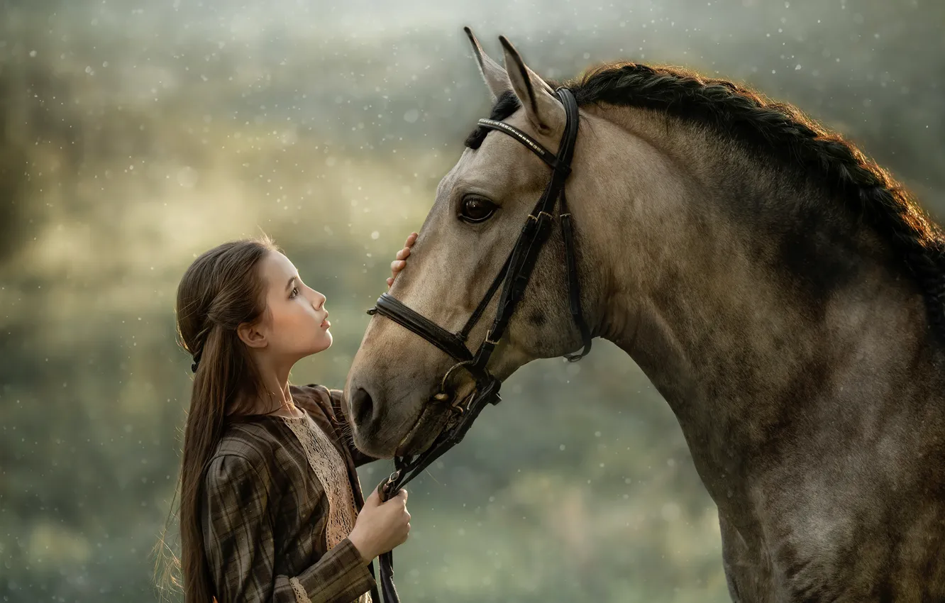 Фото обои конь, лошадь, дружба, девочка