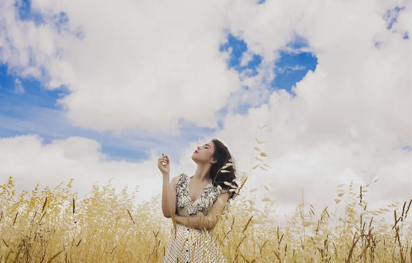 Фото обои поле, небо, девушка, лицо, ветер, волосы, платье