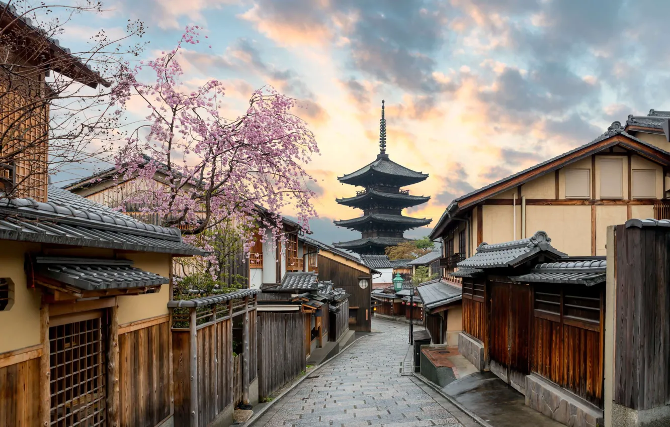Фото обои улица, Япония, сакура, пагода, Киото