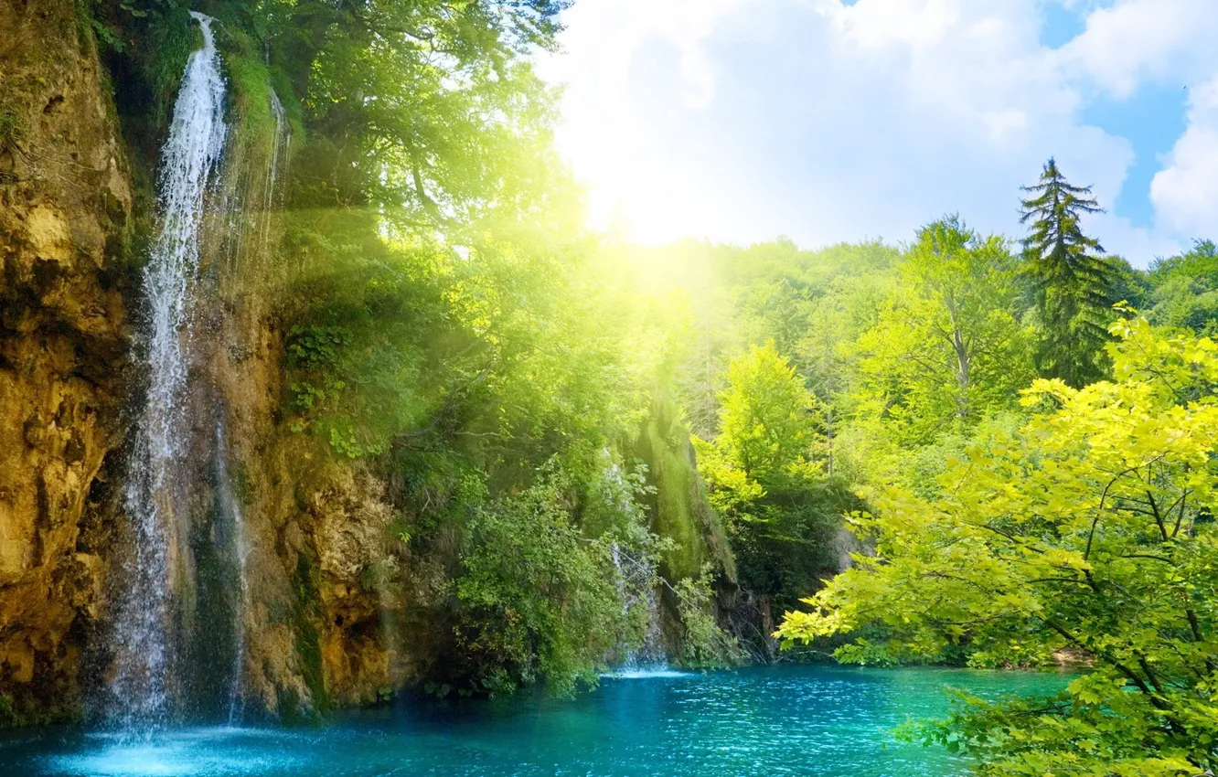 Фото обои лес, небо, вода, солнце, водопад, солнечный