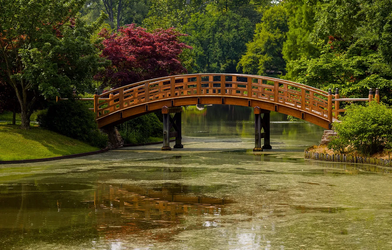Фото обои зелень, солнце, деревья, мост, пруд, парк, США, Missouri Botanical Garden