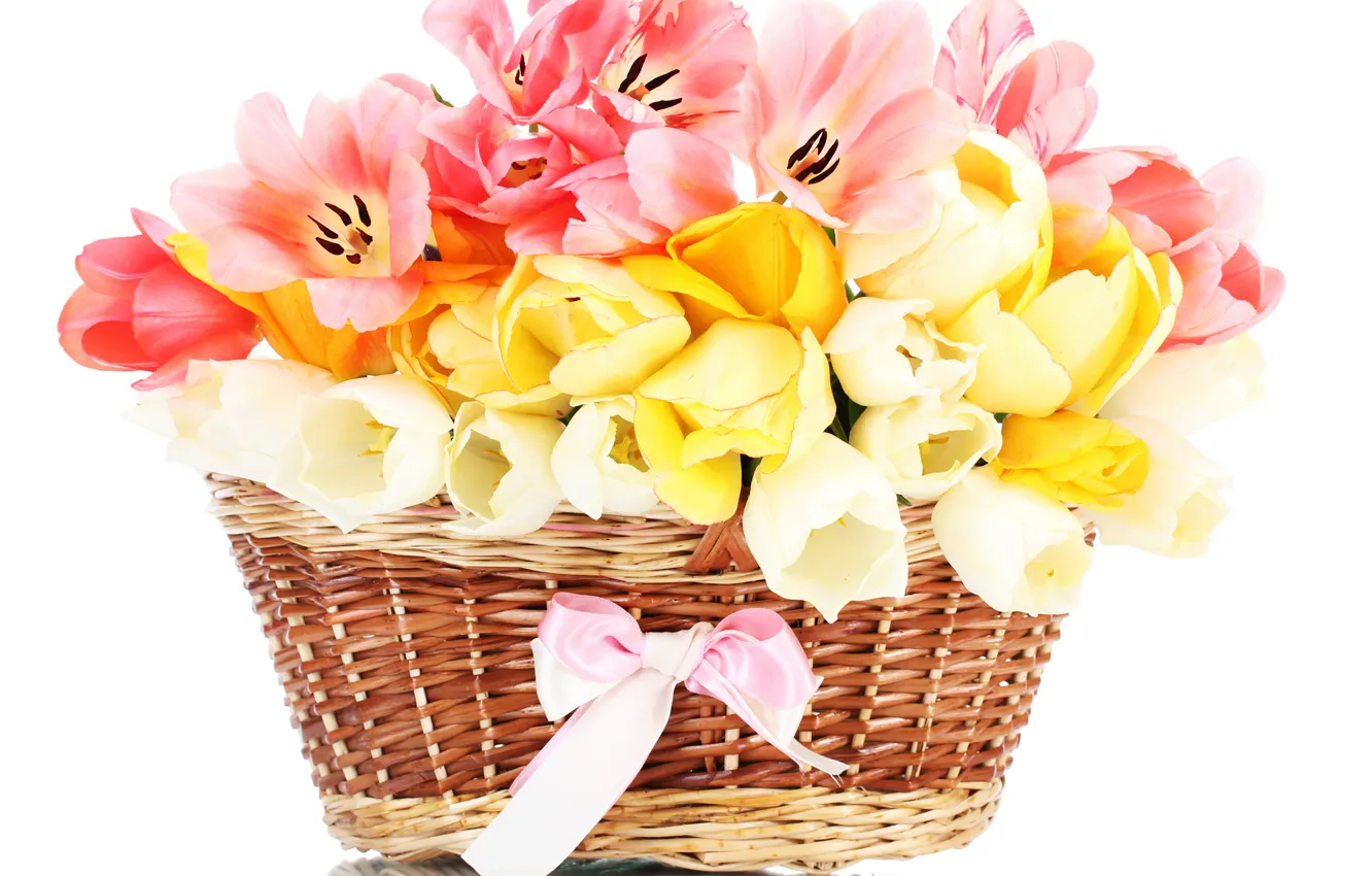 Фото обои цветок, цветы, природа, корзина, тюльпан, букет, весна, лента