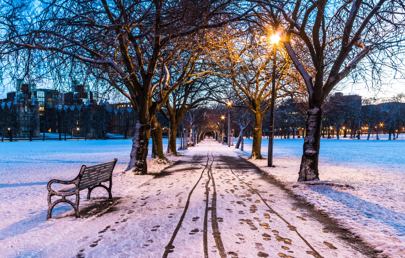 Фото обои зима, небо, снег, деревья, ночь, city, город, lights