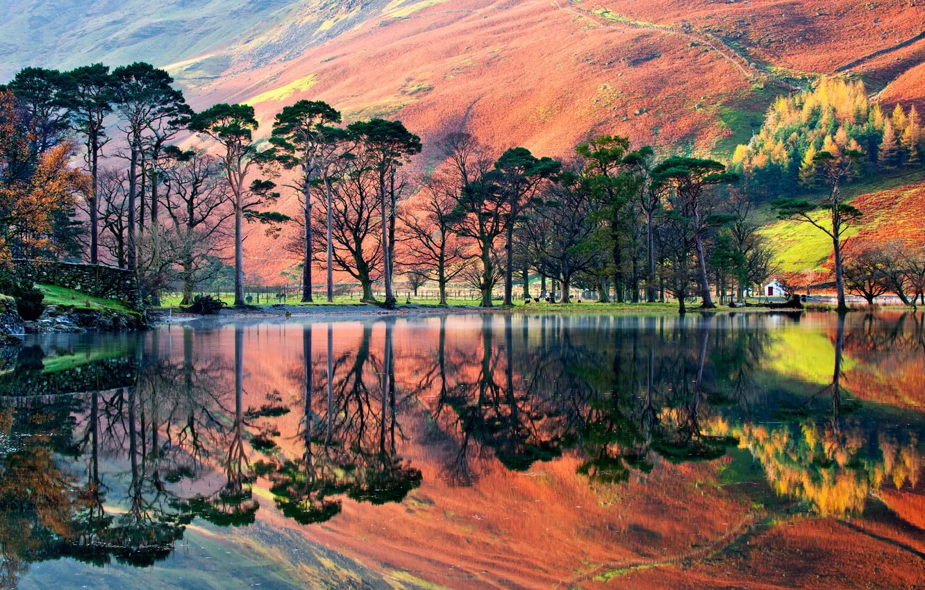Фото обои Англия, Солнце, Облака, Отражение, национальный парк, England, National Park, Очарование