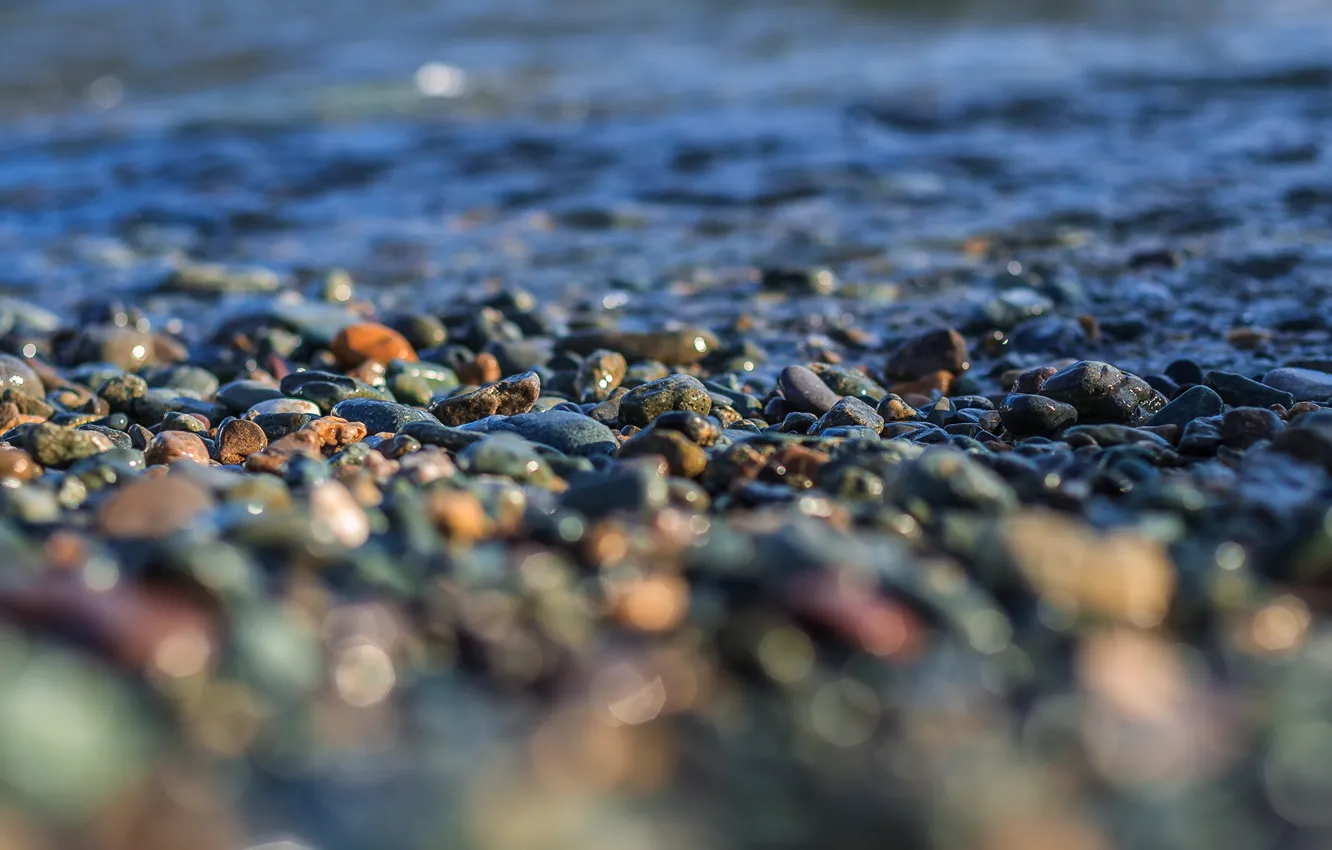 Фото обои вода, макро, галька, берег, Камни, tilt-shift
