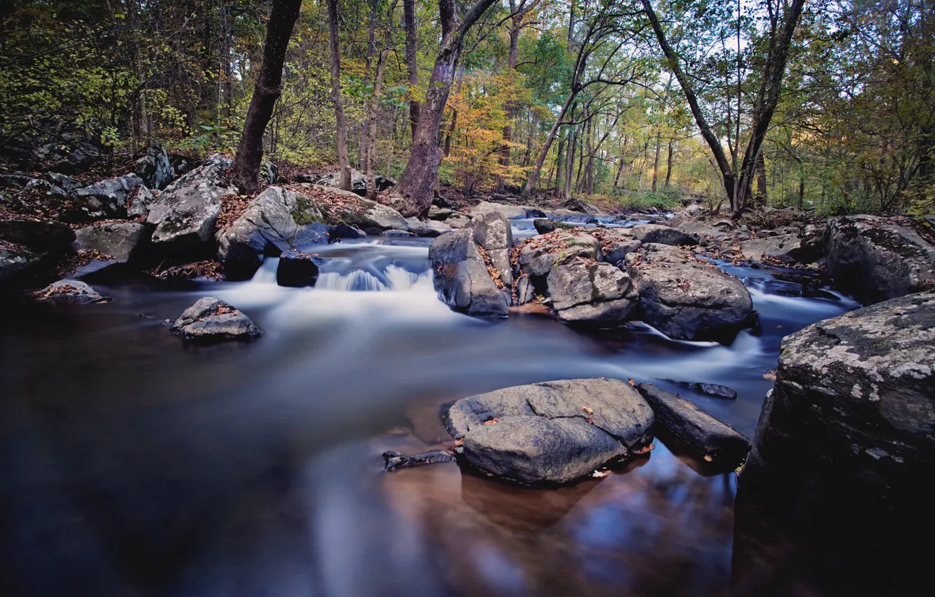 Фото обои осень, лес, река, ручей, камни