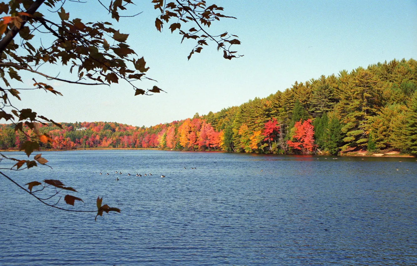 Фото обои осень, США, Массачусетс