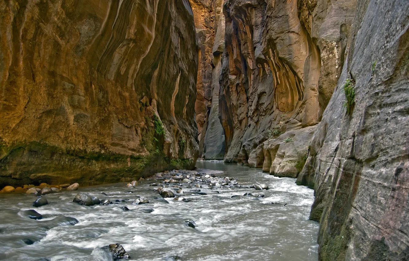 Фото обои скала, река, камни, ущелье