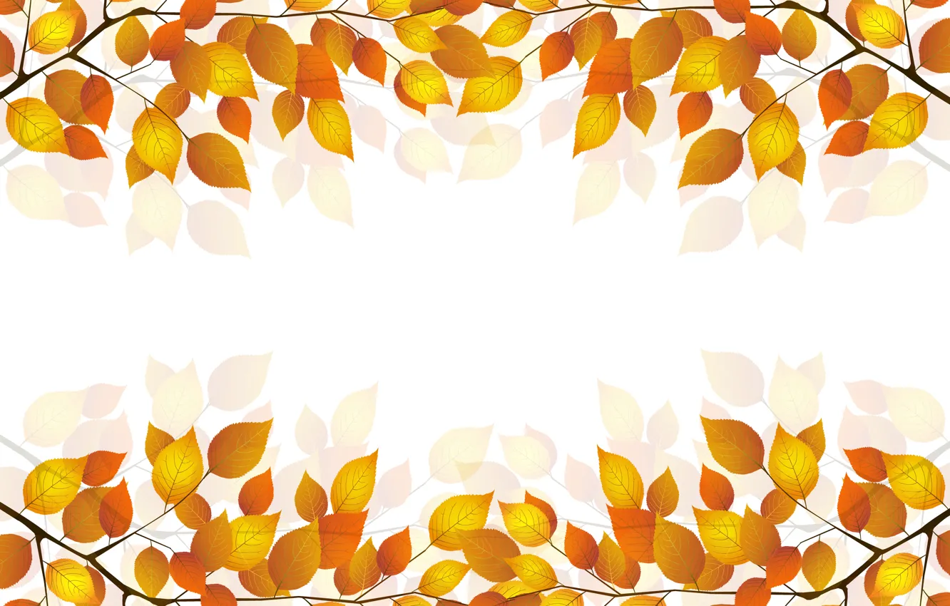 Фото обои осень, листья, веточка, белый фон