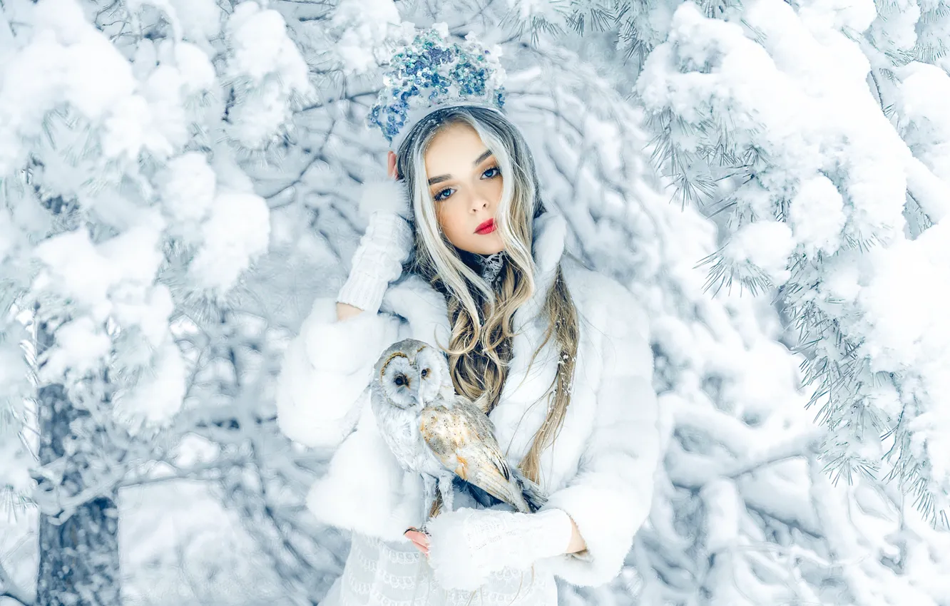 Фото обои зима, девушка, снег, ветки, природа, дерево, сова, птица