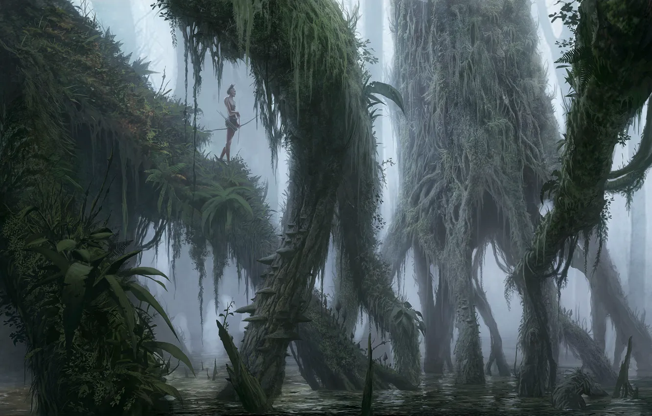 Фото обои лес, деревья, туман, охотник, Swamp