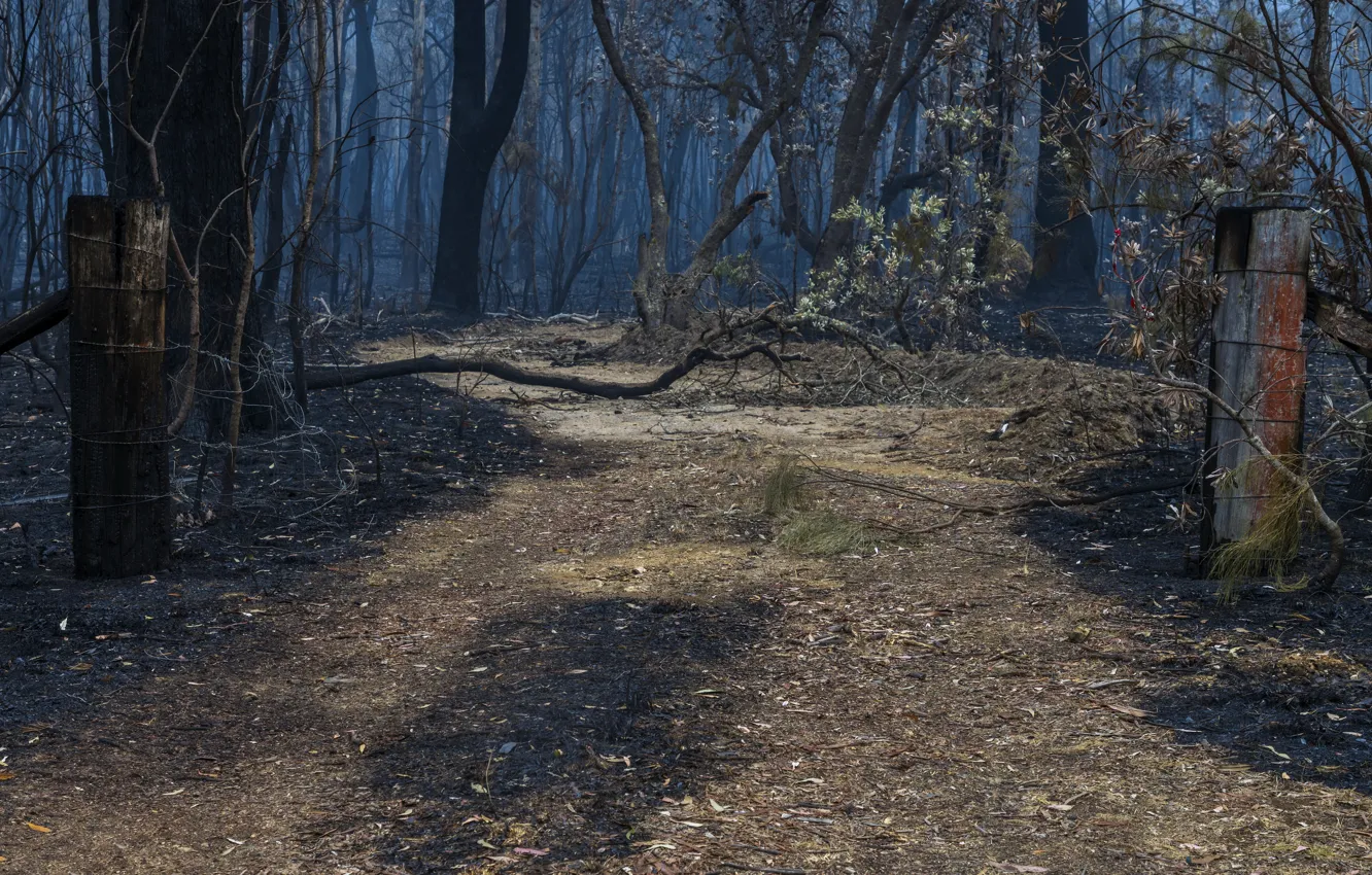 Фото обои Australia, Armidale Region, Waterfall Way, Styx River, burnt out