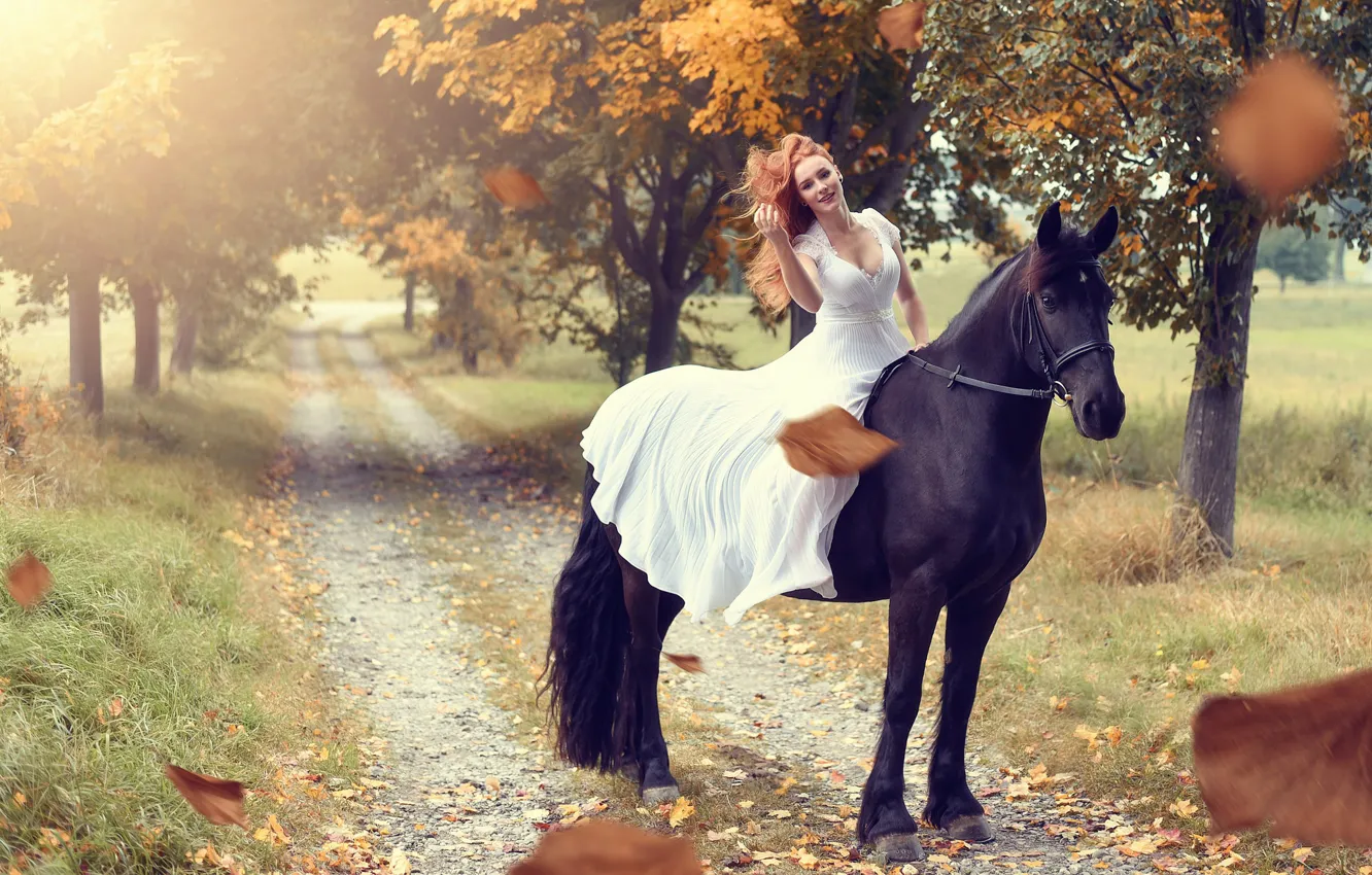 Фото обои дорога, осень, листья, девушка, деревья, настроение, конь, лошадь