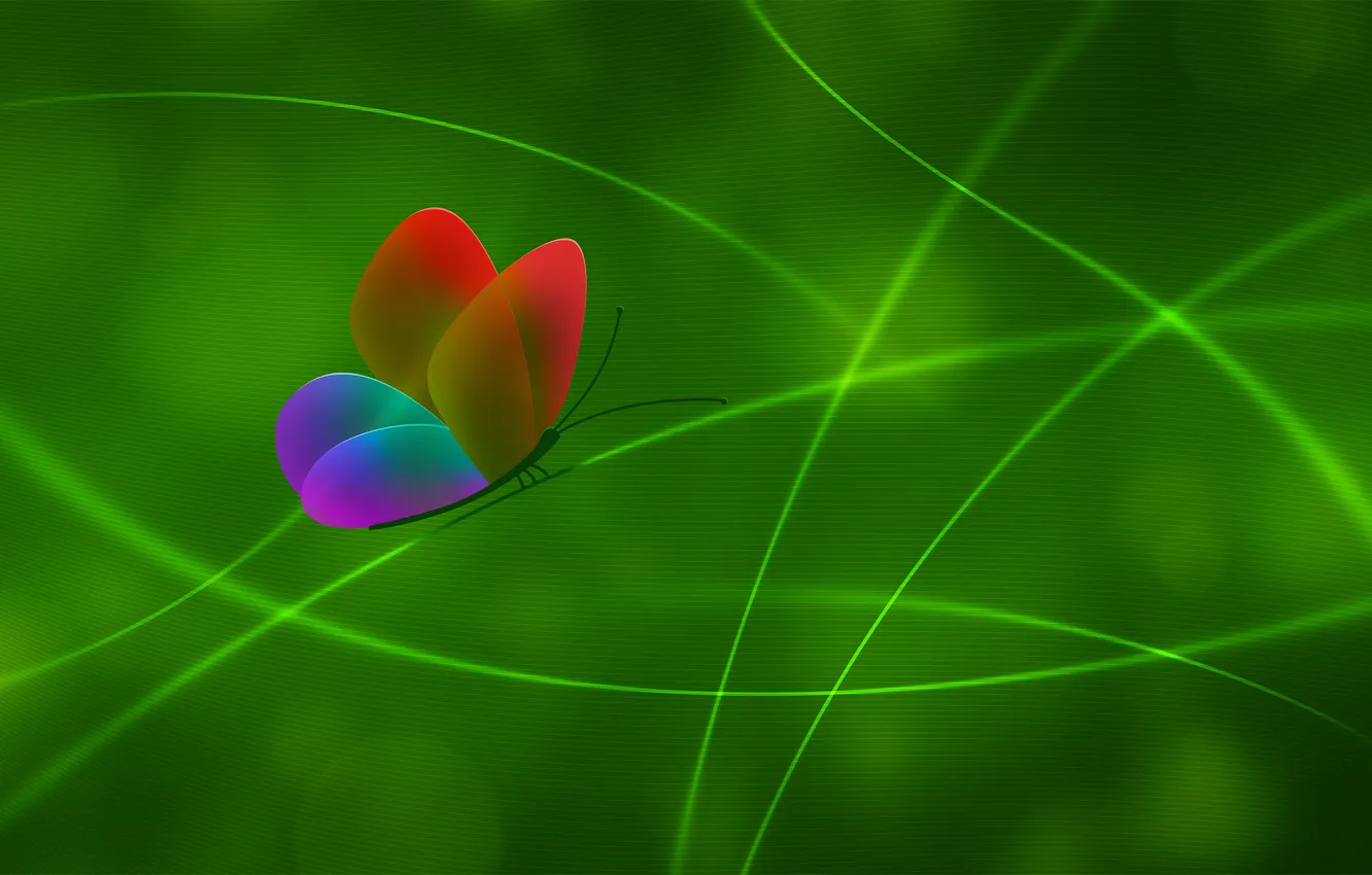 Фото обои линии, зеленый, цвет, Бабочка