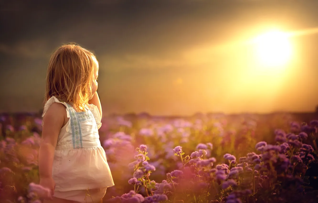 Фото обои поле, лето, солнце, цветы, девочка