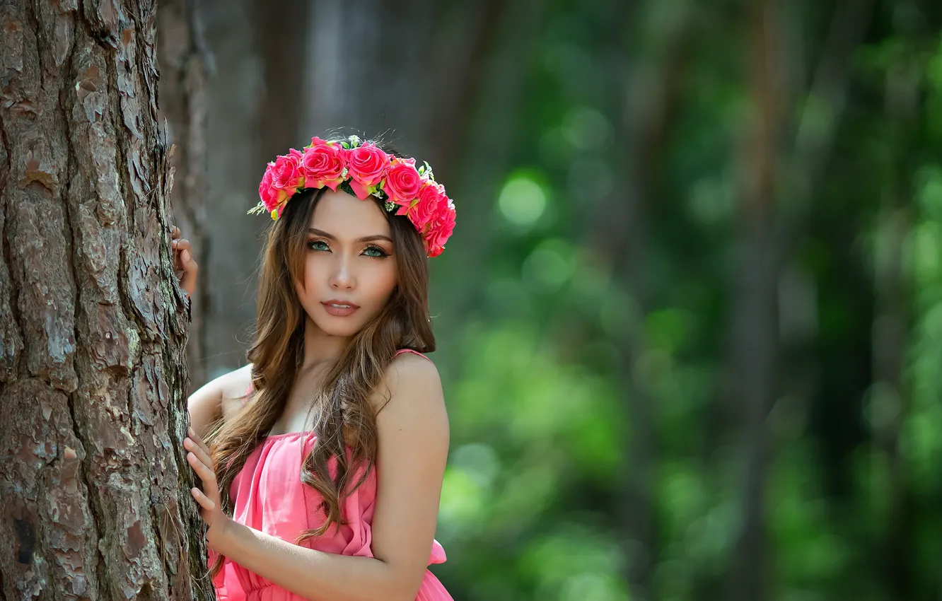 Фото обои девушка, деревья, портрет
