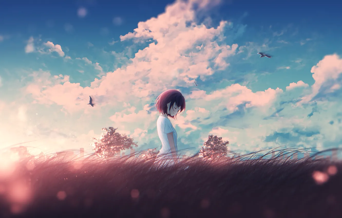 Фото обои небо, трава, девушка, птицы, природа