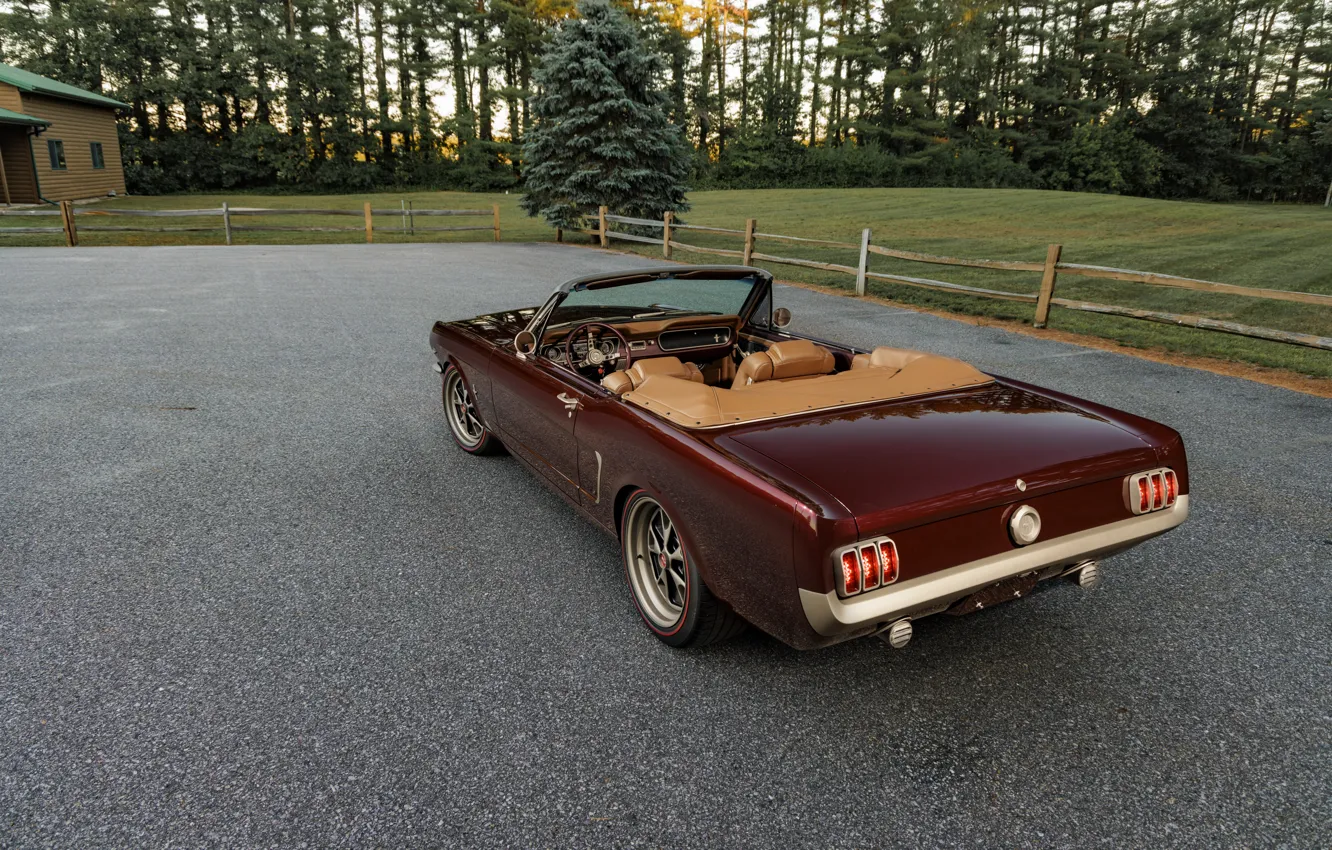 Фото обои Mustang, Ford, rear view, Ringbrothers, 1965 Ford Mustang Convertible, Ford Mustang Uncaged