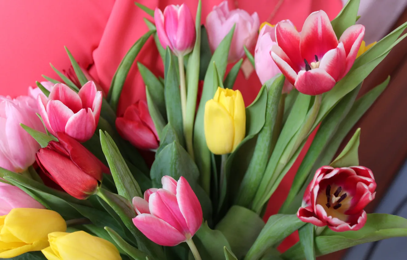 Фото обои Цветы, тюльпаны, розовые