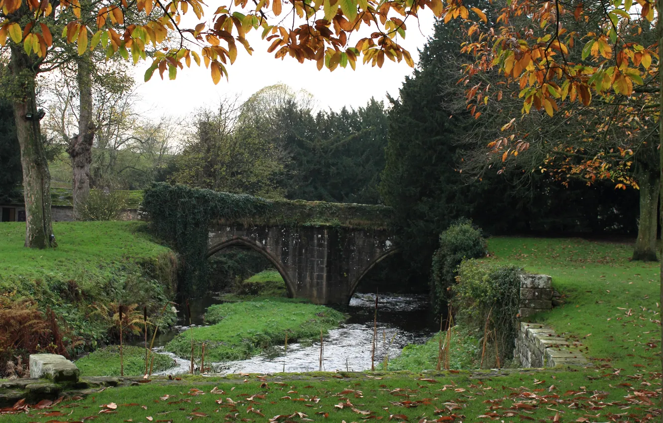 Фото обои осень, мост, природа, листва, bridge, Autumn, leaves, fall
