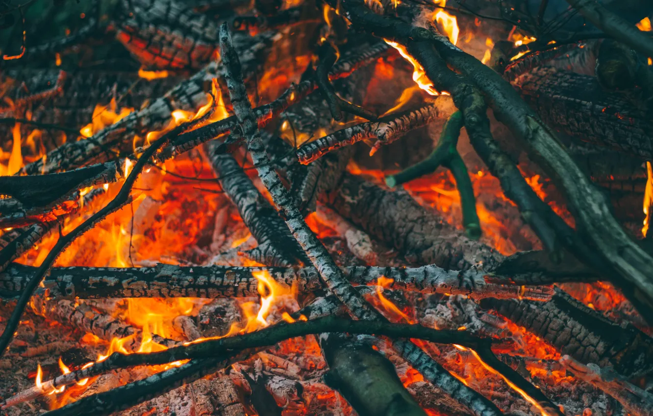 Фото обои fire, Carbon, heat, firewood