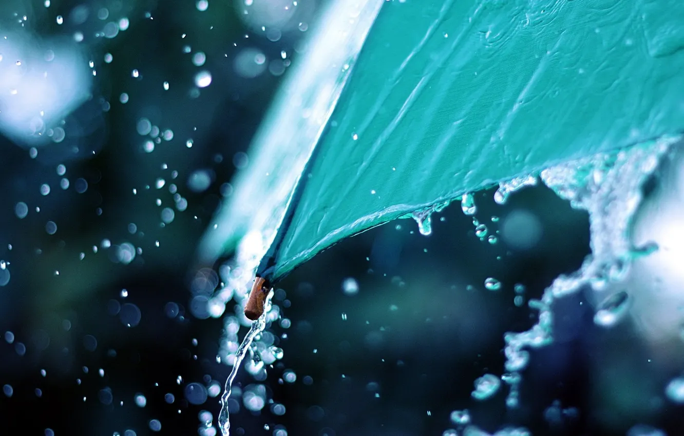 Фото обои вода, макро, фото, дождь, зонт