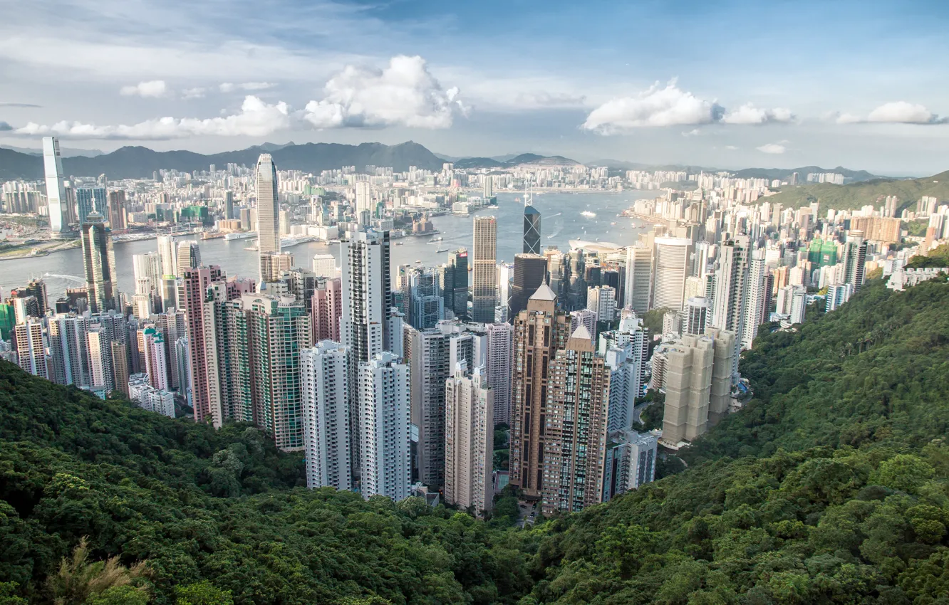 Фото обои город, гора, небоскребы, панорама, Hong Kong, Victoria Peak