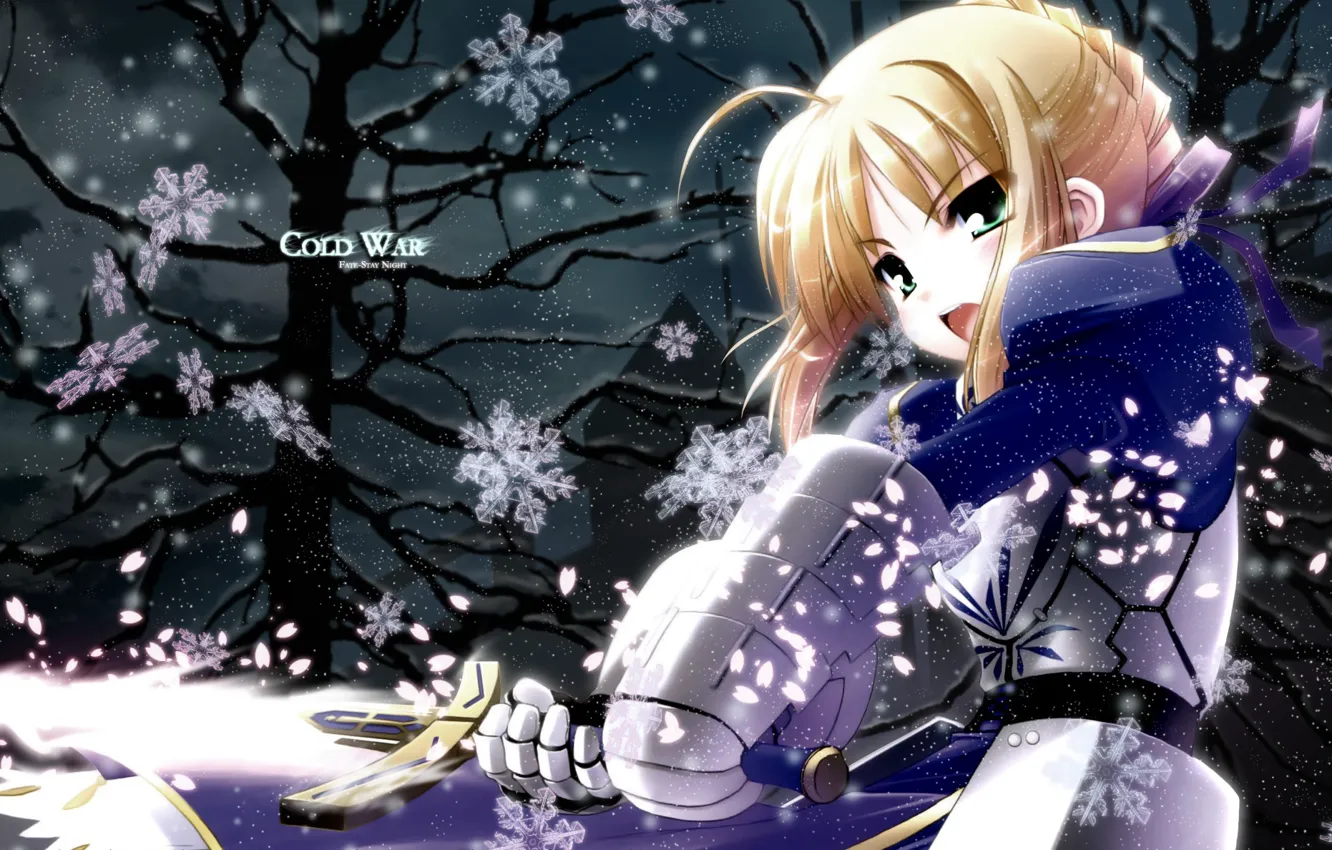 Фото обои взгляд, девушка, снежинки, меч, сейбер, Судьба ночь схватки, Fate / Stay Night