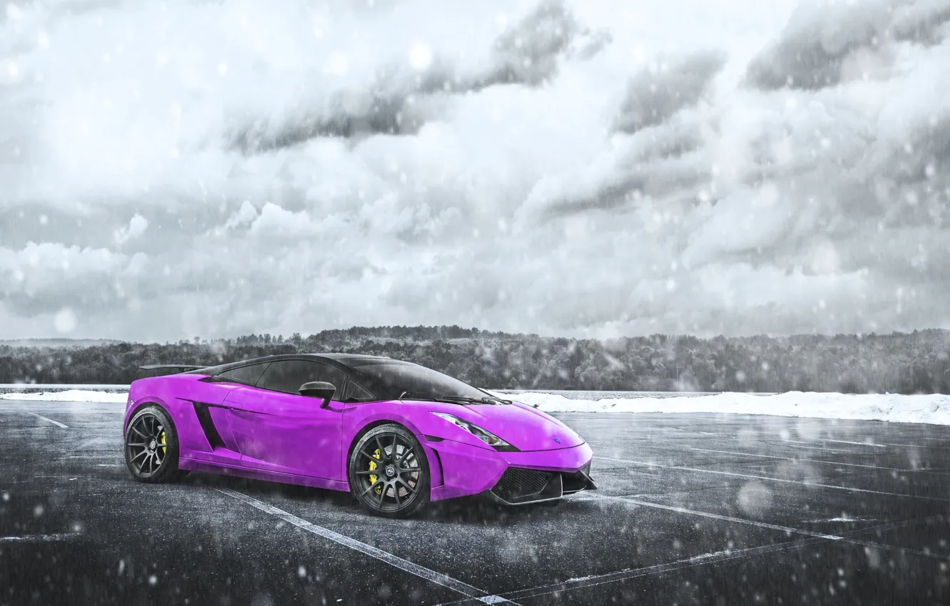 Фото обои Pink, Lamborghini, Gallardo, Purple, Blizzard, Snow, Supercar, Chrome