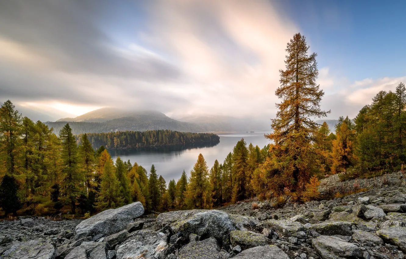 Фото обои осень, лес, озеро